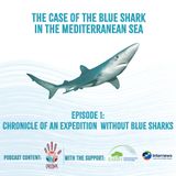 The Case of the Blue Shark in the Mediterranean Sea. Episode 1: Chronicle of an Expedition Without Blue Sharks