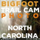A POSSIBLE BIGFOOT TRAIL CAMERA PHOTO FROM NORTH CAROLINA | MY WIFE HEARD THE WOOD KNOCKS!