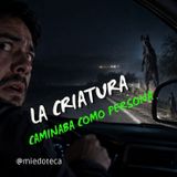 ¿Atropelló a una criatura que caminaba como persona? | 3065 29