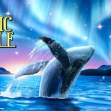 Sleep Meditation for Kids THE MAGIC WHALE Bedtime Story for Kids(MP3_160K)