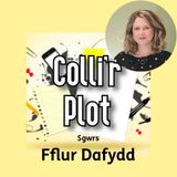 Sgwrs Fflur Dafydd