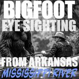 A BIGFOOT EYE SIGHTING ENCOUNTER FROM ARKANSAS | CANCER DOCTOR ENCOUNTERS BIGFOOT BY THE MISSISSIPPI
