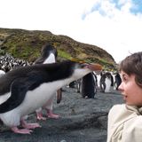 Episode 2- Scholarship to the Subantarctic with Bill Nelson
