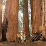 Viaggio nel Sequoia National Park, dimora dei giganti millenari californiani