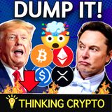 Bitcoin Drops as Trump and Musk Go Wild Online! Circle Goes Public on NYSE!