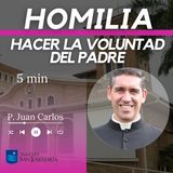HOMILIA: Hacer la voluntad del Padre (5 min)