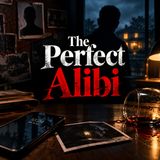 THE PERFECT ALIBI