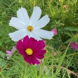 AI and Our Soul Journeys