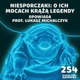 #254 Niesporczaki – twardziele mikroświata, naginający zasady biologii | prof. Łukasz Michalczyk