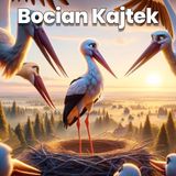 Bocian Kajtek - Bajka do słuchania dla dzieci #bajka #słuchowisko #audiobook #popolsku
