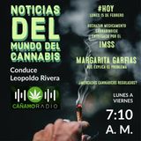 Noticias del mundo del Cannabis