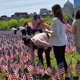 Patriots Players, Volunteers Plant 37,297 Flags On Boston Common