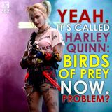 Yeah. It's Called 'Harley Quinn: Birds of Prey' Now. Problem?