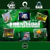 NUESTRO OXÍGENO Biodiversidad - El tesoro que respira Colombia