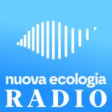 Focena vaquita: pochi ma buoni