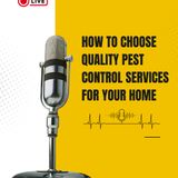 How to Choose Quality Pest Control Services for Your Home