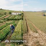 Comparativa de régimenes ecológicos