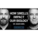 How Smells Influence Our Hormones, Health & Behavior _ Dr. Noam Sobel
