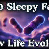 How Life Evolved_ _ 100 Facts to Fall Asleep To _ No Adverts