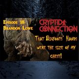 Episode 18 That Bigfoot's hands were the size of my chest