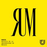 Altura de miras: libros y autores para seguir cultivando la paz y aceptar las diversidades (género e identidad)