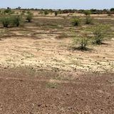 Environnement, contrôle de police et gestion des fourrières (Le Niger sur Kalangou )