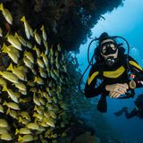 Echoes Underwater: Cave Diving Tales from Mallorca
