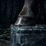 Hoof cracks on crystal step — Brothers Grimm rebooted