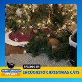 Episode 311: Incongito Christmas Cats