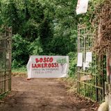 Salvo il bosco all’ex Lanerossi: diventerà spazio pubblico. Cantiere Tav spostato altrove