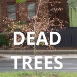 Brother Andrei podcast dead trees