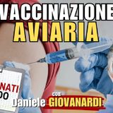 #AVIARIA e #VACCINO genico sperimentale: cosa può andare storto? – con D. GIOVANARDI | Alla Mezza