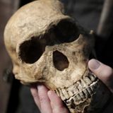Identifican Homo sapiens no africano más antiguo