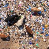 Une ONG recycle des déchets plastiques (Le Niger sur Kalangou)