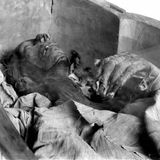 Ramsés II resucita