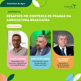 Desafios no controle de pragas na agricultura brasileira