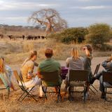 Discover the Ultimate Summit Experience with Signature Safari