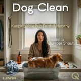 Dog Clean - Master the Art of Grooming with Juniper Snout