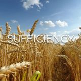 Sufficiency - Morning Manna #2859