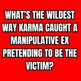 What’s the WILDEST Way KARMA Caught a MANIPULATIVE Ex Pretending to Be the VICTIM?