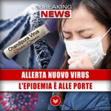 Allerta Nuovo Virus: L'Epidemia È Alle Porte!