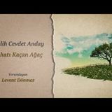 Melih Cevdet Anday   The Disturbed Tree
