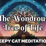 Journey to the Tree of Life (Bedtime Story For Grownups)