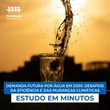 Estudo em minutos - Demanda futura por água em 2050