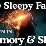 What Happens to Memory While You Sleep_ Dreamy Science for Deep Sleep