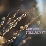 Are You Still Alive?