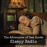 Sam Spade - The Hail