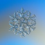 The Snow Show: Making Snowflakes with Peter Veals and Twila Moon