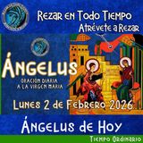 Oración del Angelus del día de hoy, Lunes 2 de Febrero 2026, Oración a la virgen María 🌹Oracion diaria a la Virgen María 🙏