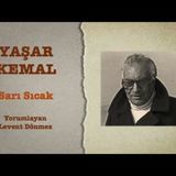 Yaşar Kemal - Sarı Sıcak - Sesli Kitap Dinle